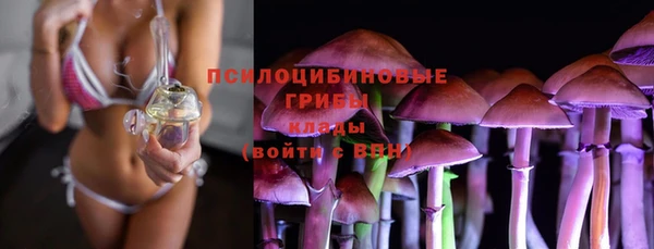 прущая мука Костерёво