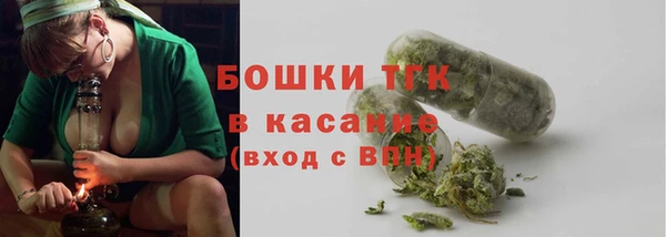 крисы Нестеровская