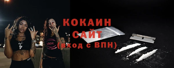 крисы Нестеровская