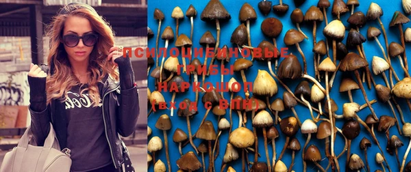 гидропоника Краснослободск